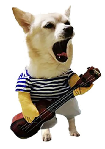 Fun Playfull Costume