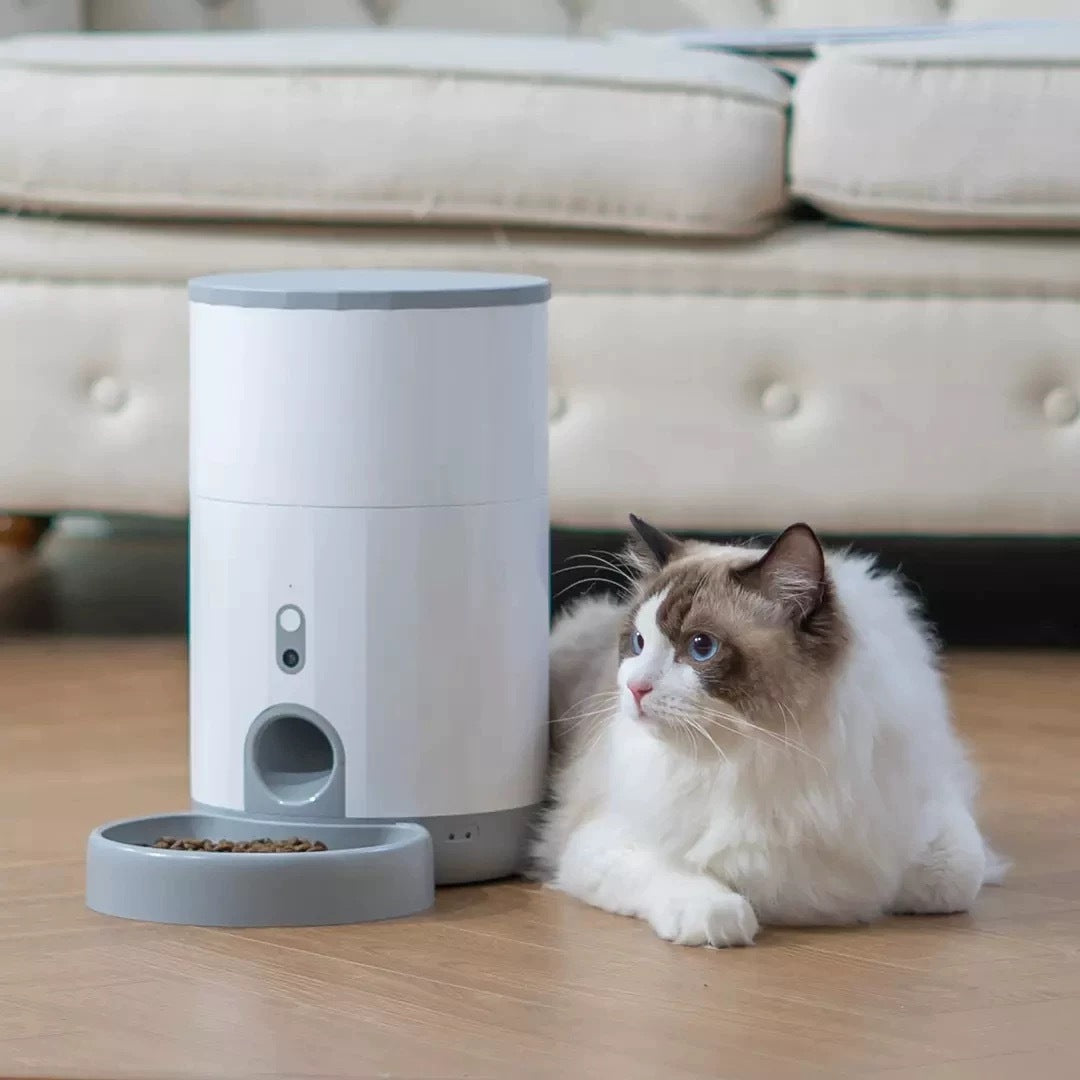 2.6L Automatic Pet Feeder – Battery Operated with Stainless Steel Bowl