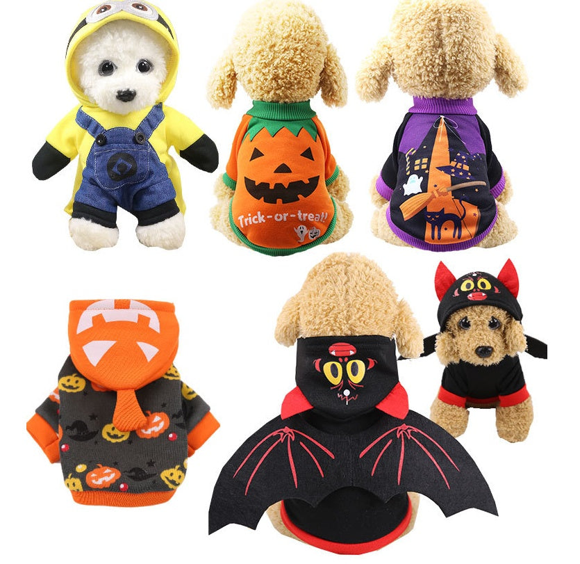Trick or Treat Costume