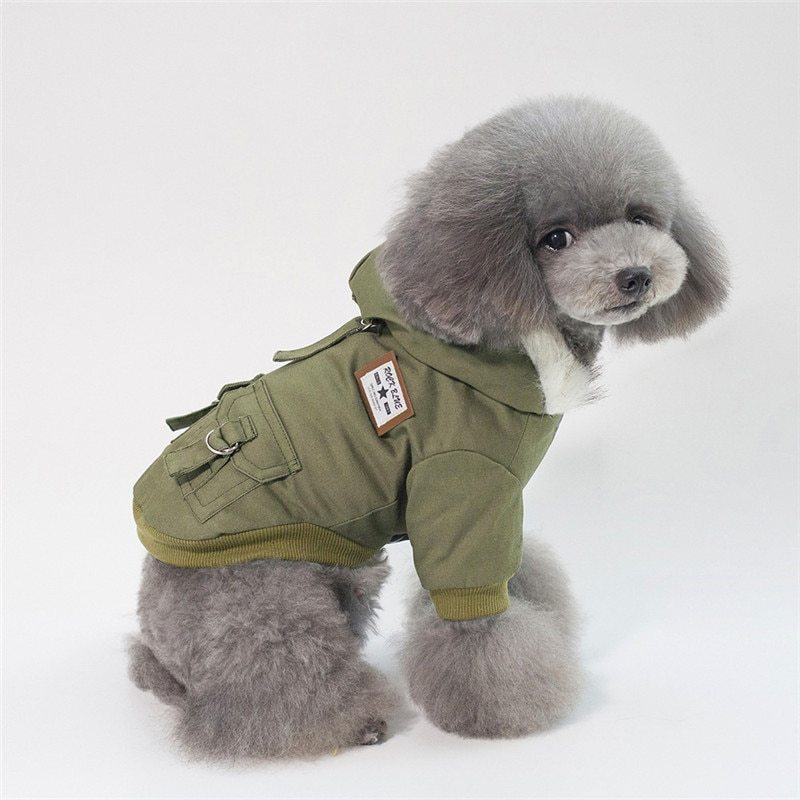 Small Dog Winter Coat