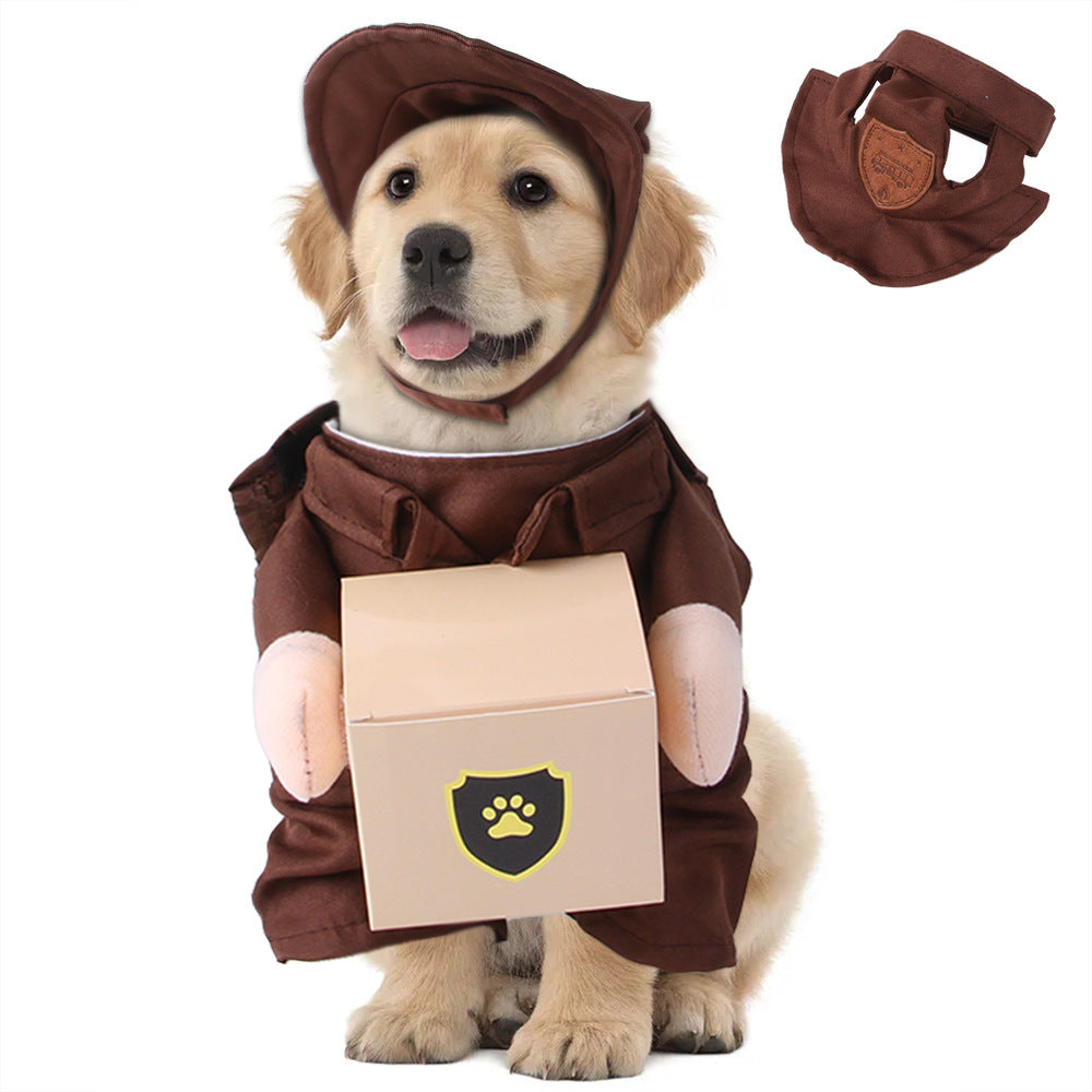 Fun Playfull Costume
