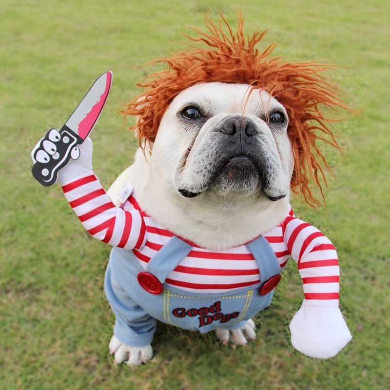 Red Hair Halloween Pet Dog Costume