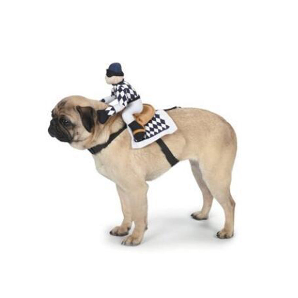 Fun Playfull Costume