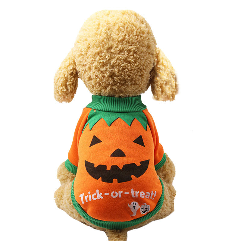 Trick or Treat Costume