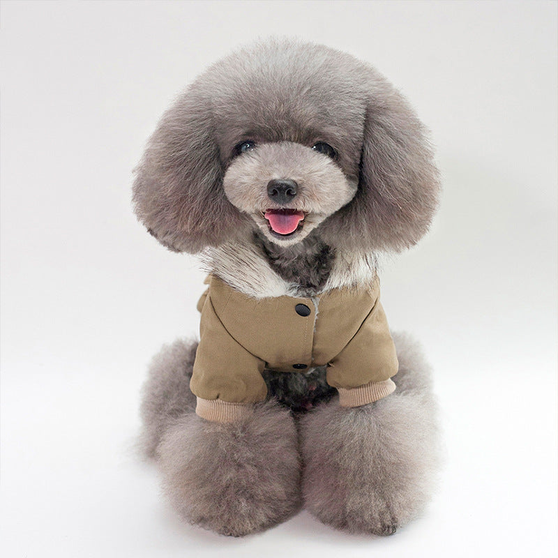 Small Dog Winter Coat