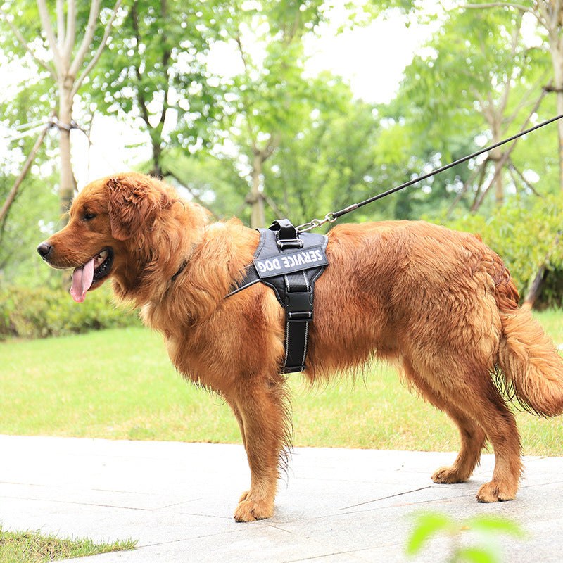 Personalise Your Reflective Dog Harness
