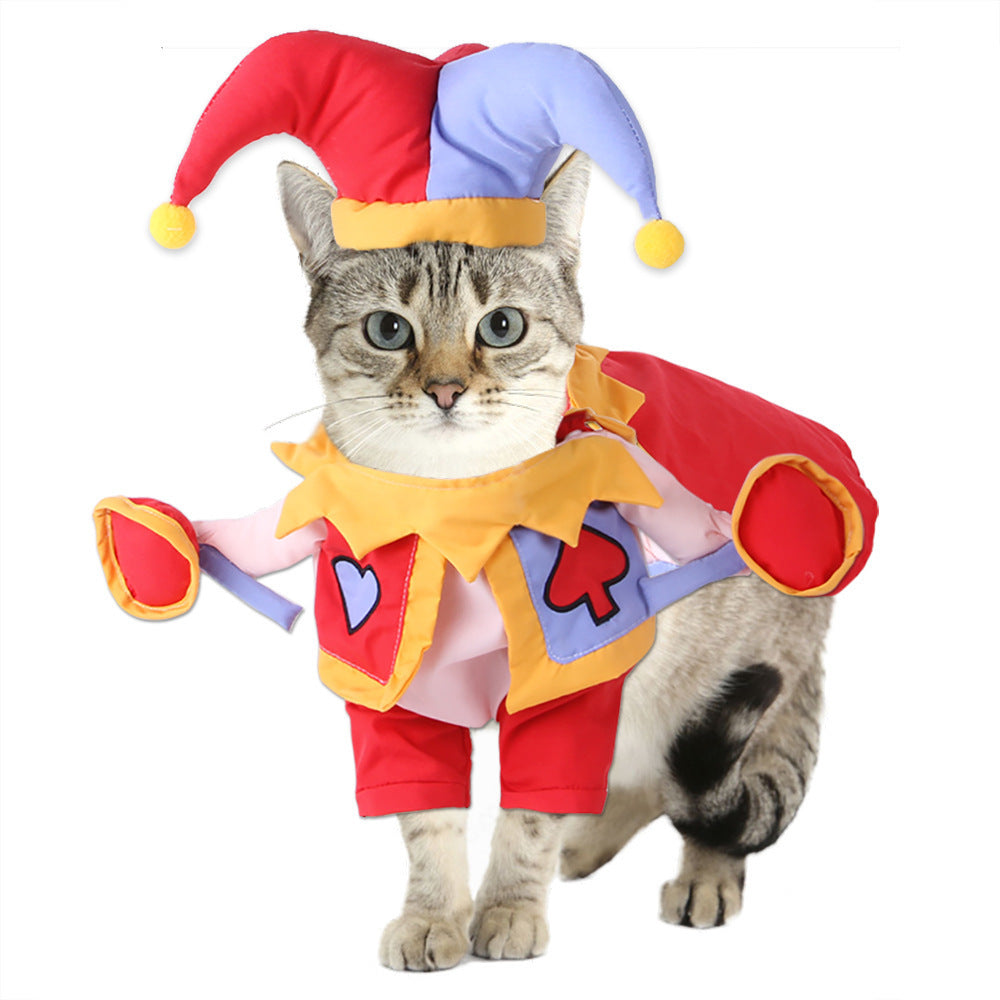 Fun Playfull Costume