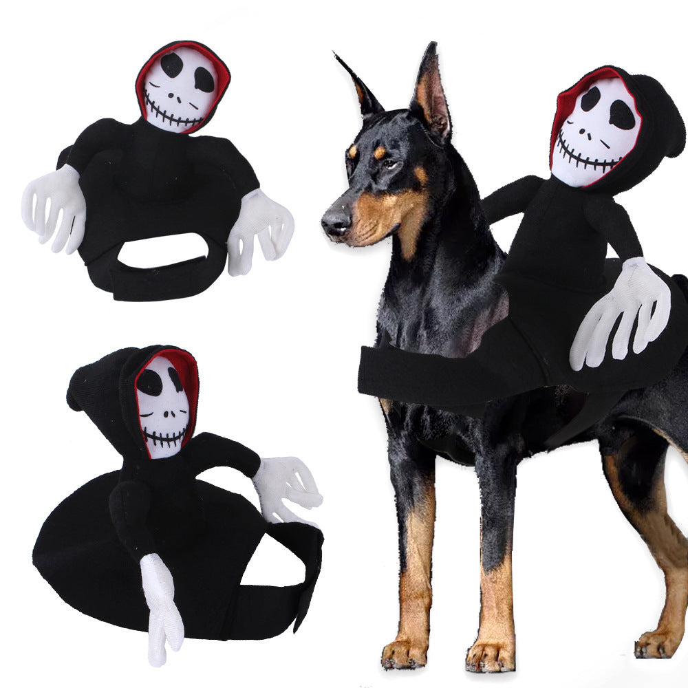 Fun Playfull Costume