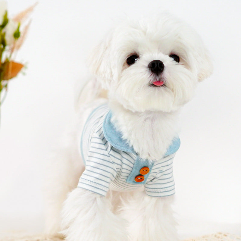 Striped Shirt