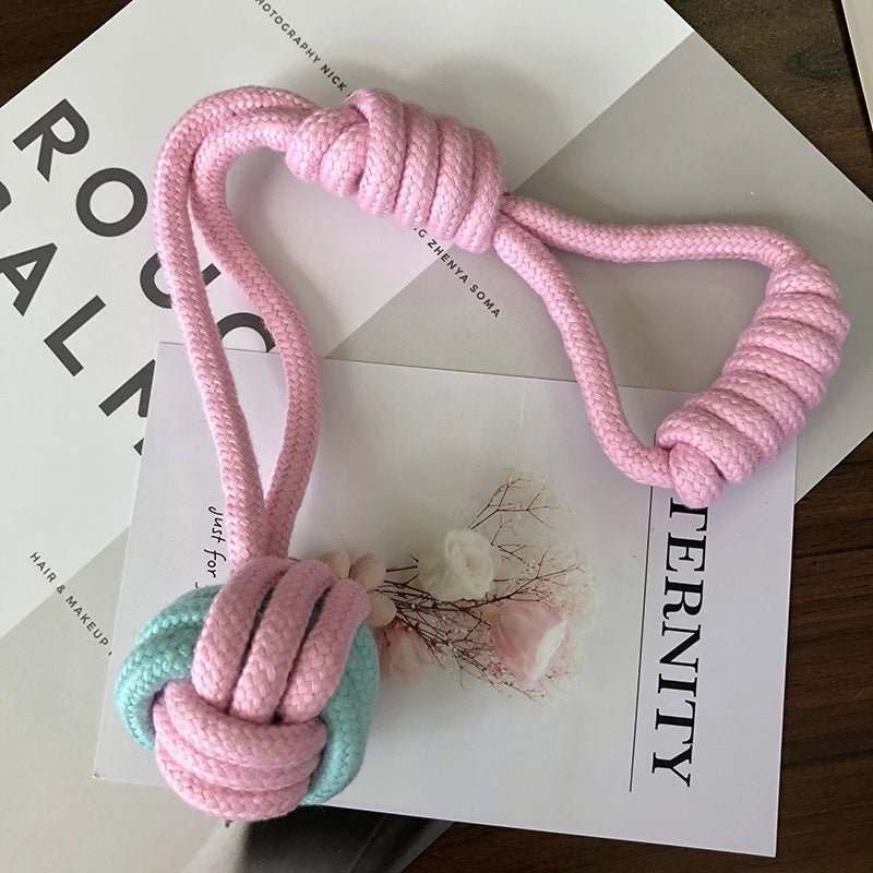 Interactive Training Pet Molar