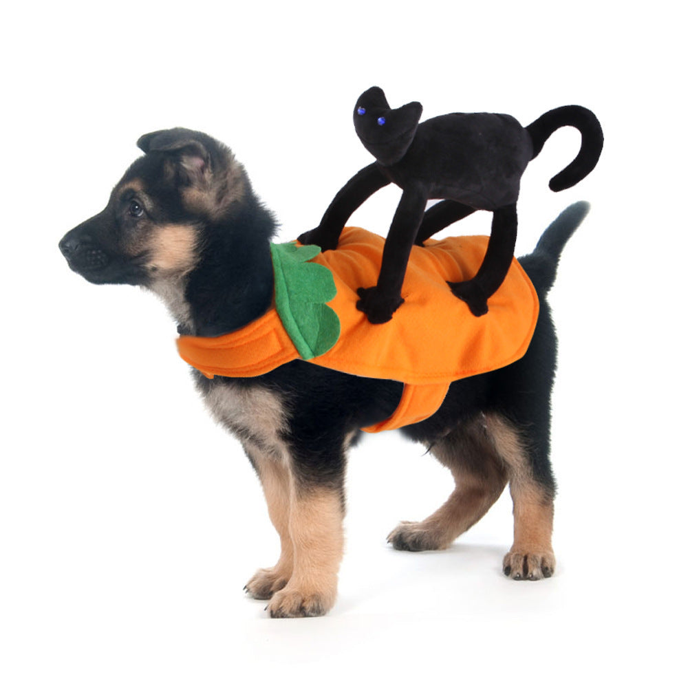 Fun Playfull Costume