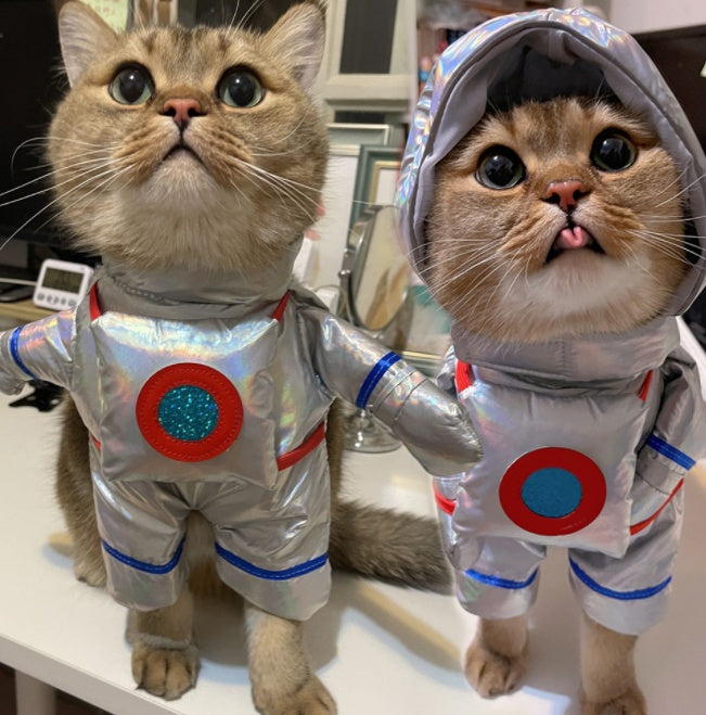 Fun Playfull Costume